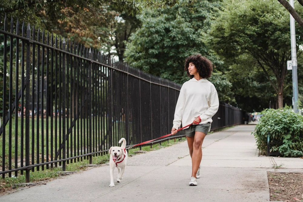 40-walk package